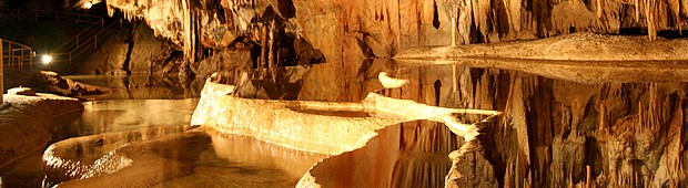 >Domica je najväčšia jaskyňa Slovenského krasu. Zaraďuje sa medzi jaskyne svetového významu.
Nachádza sa v južnom svahu Silickej planiny v okrese Rožňava. Bola obývaná už pred 5000 rokmi neolitickým človekom