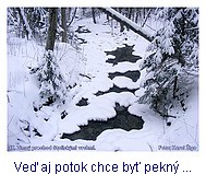 Zo Zimného prechodu Stolickými vrchmi. Foto: Karol Žigo